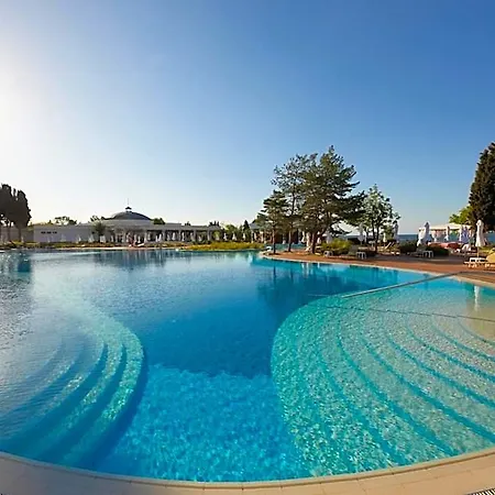 Hotel Alua Sunny &